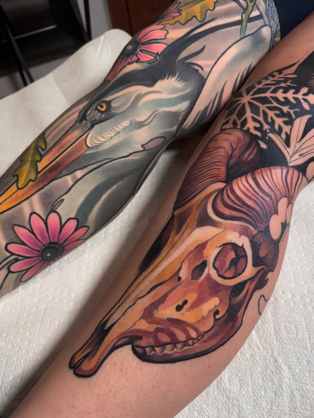 Vulture and Skull