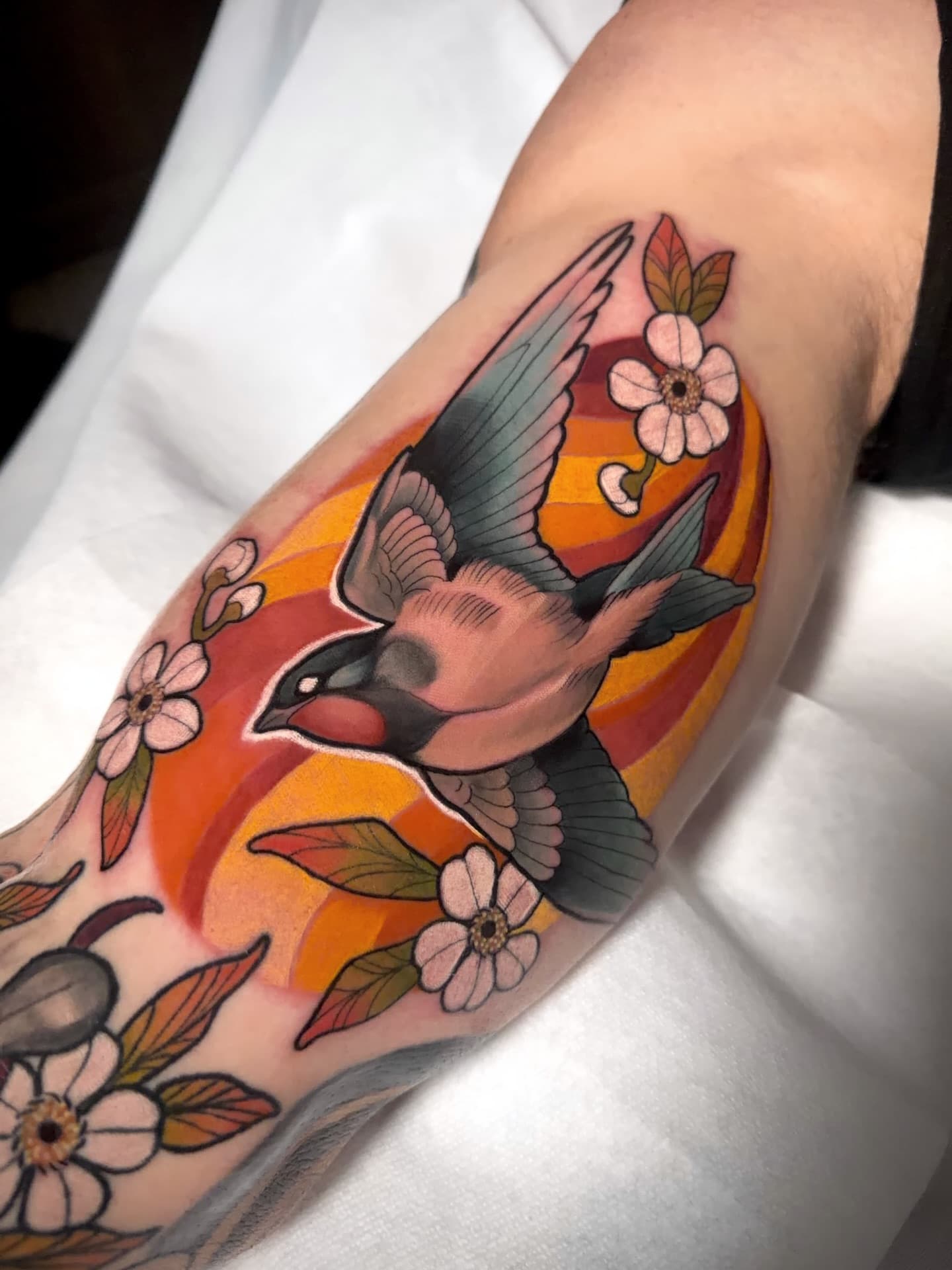 Sparrow Studio Piece