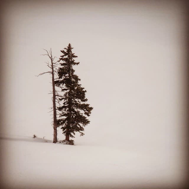 Instagram Archive 256