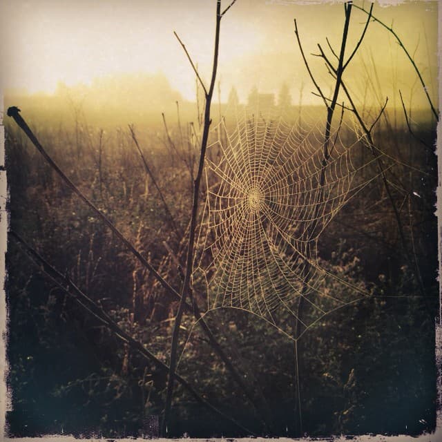 Instagram Archive 257